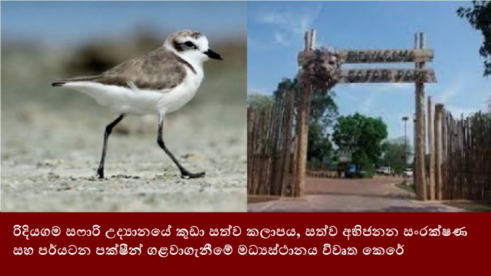 රිදියගම සෆාරි උද්‍යානයේ කුඩා සත්ව කලාපය, සත්ව අභිජනන සංරක්ෂණ සහ පර්යටන පක්ෂීන් ගළවාගැනීමේ මධ්‍යස්ථානය විවෘත කෙරේ