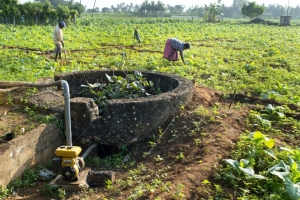 නියඟයෙන් බැටකන ප්‍රදේශවල වගාවට අවශ්‍ය ජලය ලබාදීමට කෘෂි ළිං 100ක්