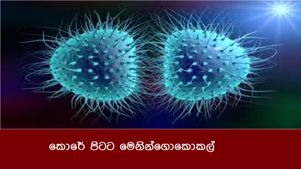 කොරේ පිටට මෙනින්ගොකොකල්