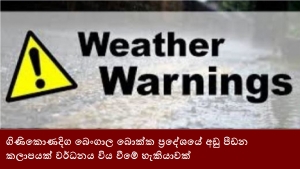 ගිණිකොණදිග බෙංගාල බොක්ක ප්‍රදේශයේ අඩු පීඩන කලාපයක් වර්ධනය විය වීමේ හැකියාවක්