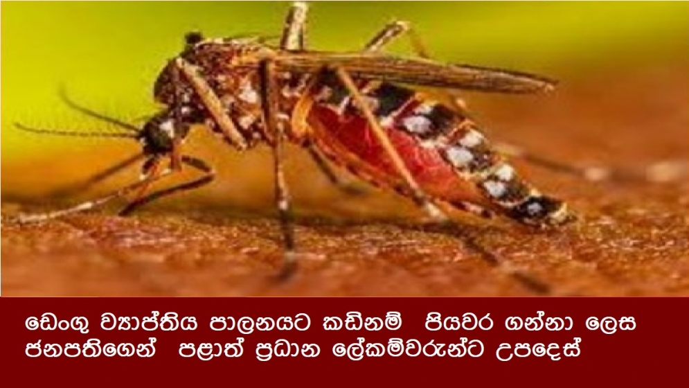 ඩෙංගු ව්‍යාප්තිය පාලනයට කඩිනම්  පියවර ගන්නා ලෙස ජනපතිගෙන්  පළාත් ප්‍රධාන ලේකම්වරුන්ට උපදෙස්