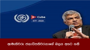 ඇමැතිවරු ජනාධිපතිවරයාගේ බලය අතට ගනී