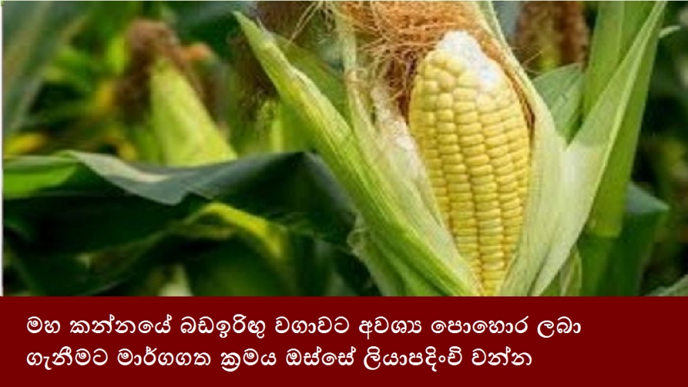 මහ කන්නයේ බඩඉරිඟු වගාවට අවශ්‍ය පොහොර ලබා ගැනීමට මාර්ගගත ක්‍රමය ඔස්සේ ලියාපදිංචි වන්න