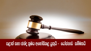 පළාත් සභා ඡන්ද ක්‍රමය අහෝසිකළ යුතුයි - යෝජනාව  සම්මතයි