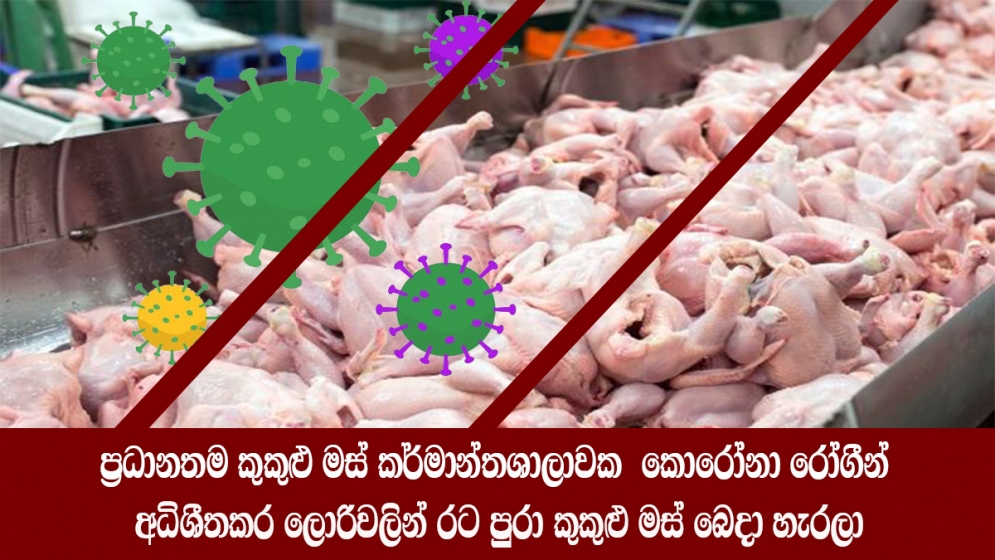 ප‍්‍රධානතම කුකුළු මස් කර්මාන්තශාලාවක  කොරෝනා රෝගීන් , අධිශීතකර ලොරිවලින් රට පුරා කුකුළු මස් බෙදා හැරලා