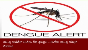 ඩෙංගු රෝගීන් වාර්තා වීම ඉහළට -ජාතික ඩෙංගු මර්දන ඒකකය