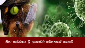 නිපා වෛරසය ශ්‍රී ලංකාවට තර්ජනයක් නොවේ