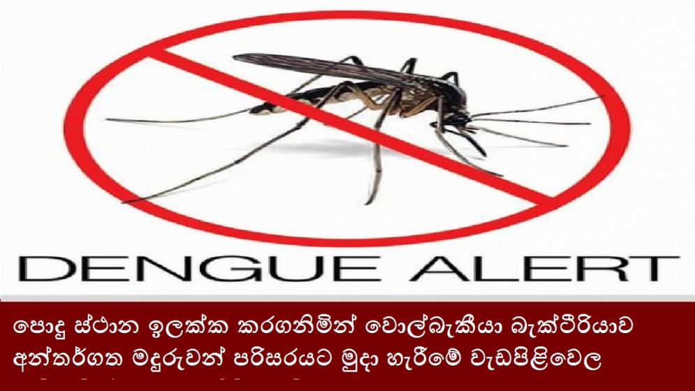 පොදු ස්ථාන ඉලක්ක කරගනිමින් වොල්බැකීයා බැක්ටීරියාව අන්තර්ගත මදුරුවන් පරිසරයට මුදා හැරීමේ වැඩපිළිවෙල කඩිනමින් ආරම්භ කිරීමට පියවර