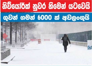 නිව්යෝර්ක් නුවර හිමෙන් යටවෙයි