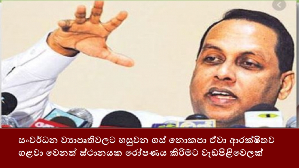 සංවර්ධන ව්‍යාපෘතිවලට හසුවන ගස් නොකපා ඒවා ආරක්ෂිතව ගළවා වෙනත් ස්ථානයක රෝපණය කිරිමට වැඩපිළිවෙලක්