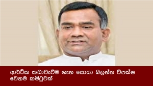 ආර්ථික කඩාවැටීම ගැන සොයා බලන්න විපක්ෂ වෙනම කමිටුවක්