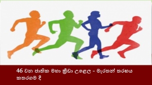 46 වන ජාතික මහා ක්‍රීඩා උළෙල - මැරතන් තරඟය කතරගම දී