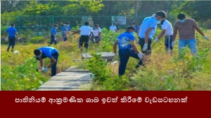 පාතිනියම් ආක්‍රමණික ශාඛ ඉවත් කිරීමේ වැඩසටහනක්