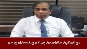 පොදු ස්ථානවල ඩෙංගු ව්‍යාප්තිය වැඩිවෙලා