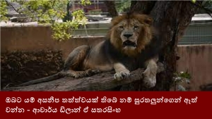 ඔබට යම් අසනීප තත්ත්වයක් තිබේ නම් සුරතලුන්ගෙන් ඈත්විය වන්න - ආචාර්ය ඩිලාන් ඒ සතරසිංහ