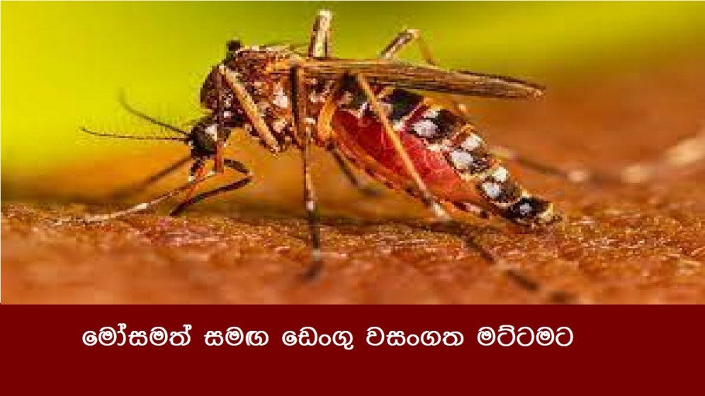 මෝසමත් සමඟ ඩෙංගු වසංගත මට්ටමට