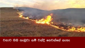 වගාව ගිනි තැබුවා නම් වන්දි ගෙවන්නේ නැහැ