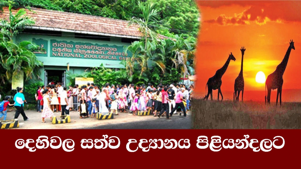 දෙහිවල සත්ව උද්‍යානය පිළියන්දලට