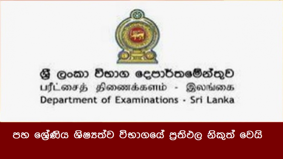 පහ ශ්‍රේණිය ශිෂ්‍යත්ව විභාගයේ ප්‍රතිඵල නිකුත් වෙයි