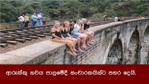 ආරුක්කු නවය පාලමේදී සංචාරකයින්ට පහර දෙයි.