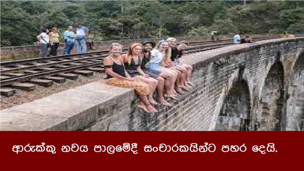 ආරුක්කු නවය පාලමේදී සංචාරකයින්ට පහර දෙයි.