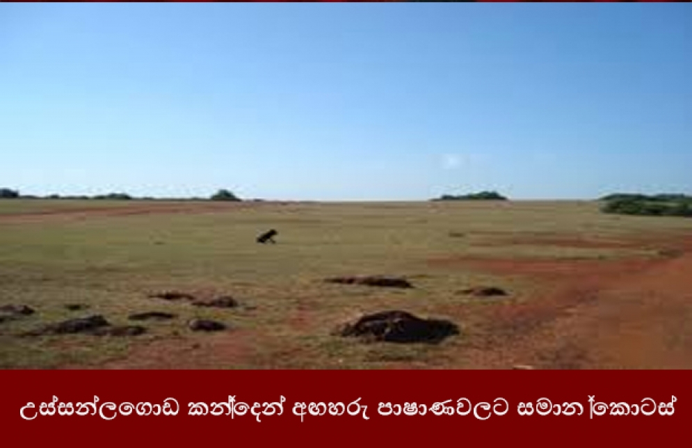 උස්සන්ගොඩ කන්දෙන් අඟහරු පාෂාණවලට සමාන කොටස්