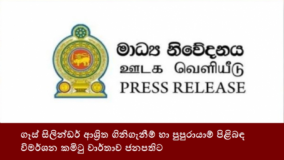 ගෑස් සිලින්ඩර් ආශ්‍රිත ගිනිගැනීම් හා පුපුරායාම් පිළිබඳ විමර්ශන කමිටු වාර්තාව ජනපතිට