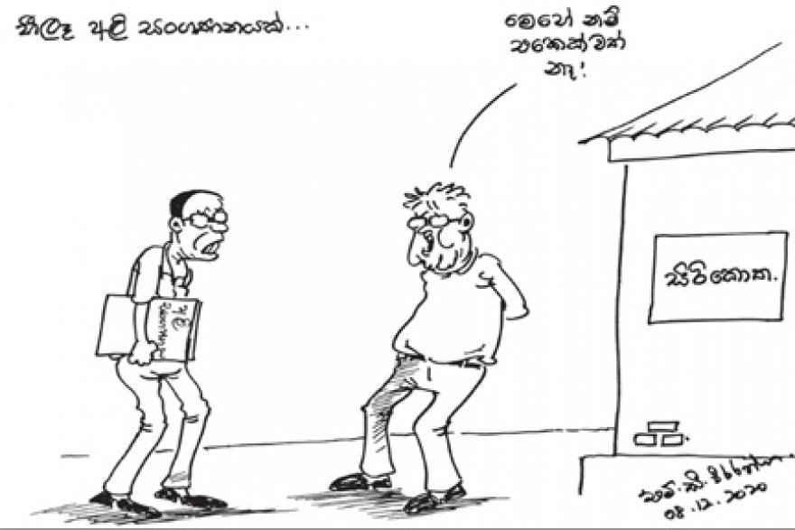 අලි ගැටලුව