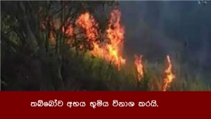 තබ්බෝව අභය භූමිය විනාශ කරයි.