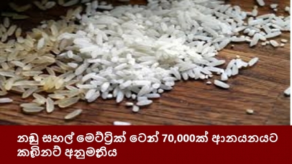 නාඩු සහල් මෙට්ට්‍රික් ටොන් 70,000ක් ආනයනයට කැබිනට් අනුමැතිය