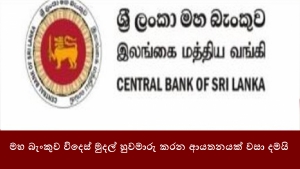 මහ බැංකුව විදෙස් මුදල් හුවමාරු කරන ආයතනයක් වසා දමයි