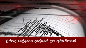 බුත්තල වැල්ලවාය ප්‍රදේශයේ සුළු භූමිකම්පාවක්