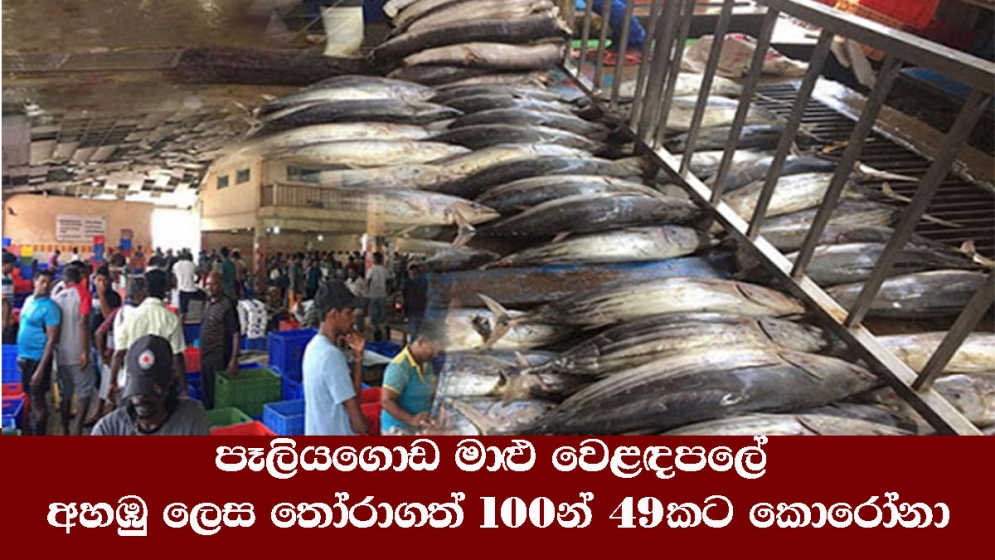 පෑලියගොඩ මාළු වෙළඳපලේ අහඹු ලෙස තෝරාගත් 100න් 49කට කොරෝනා