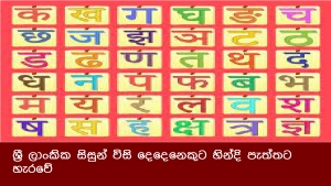 ශ්‍රී ලාංකික සිසුන් විසි දෙදෙනෙකුට හින්දි පැත්තට හැරවේ