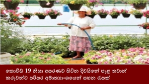 කොවිඩ් 19 නිසා අසරණව සිටින දිවයිනේ පැළ තවාන්කරුවන්ට පරිසර අමාත්‍යාංශයෙන් සහන රැසක්