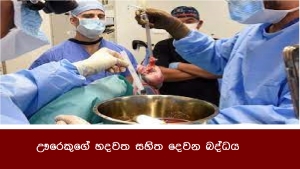 ඌරෙකුගේ හදවත සහිත දෙවන බද්ධය