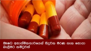 ඖෂධ අසාත්මිකතාවයෙන් සිදුවන මරණ ගැන සොයා බැලීමට කමිටුවක්