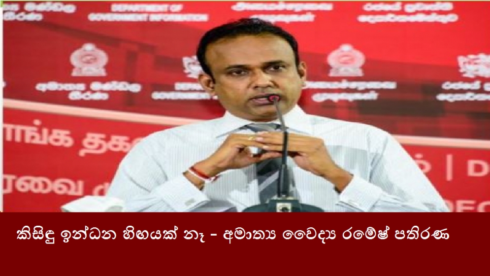 කිසිඳු ඉන්ධන හිඟයක් නෑ - අමාත්‍ය වෛද්‍ය රමේෂ් පතිරණ