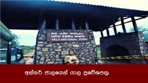 අන්තර් ජාලයෙන් යාල ප්‍රවේශපත්‍ර