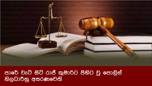 පාරේ වැටි සිටි රාජ් කුමාරිට පිහිට වූ පොලිස් නිලධාරීහු අසරණවෙති