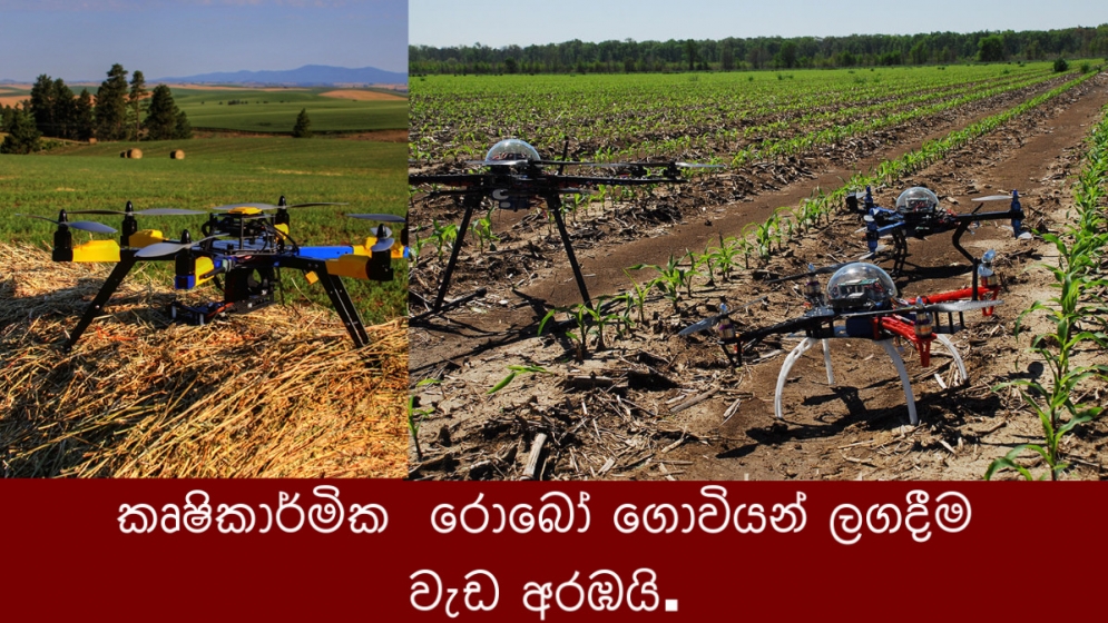 කෘෂිකාර්මික  රොබෝ ගොවියන් ලගදීම වැඩ අරඹයි.