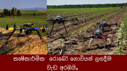 කෘෂිකාර්මික  රොබෝ ගොවියන් ලගදීම වැඩ අරඹයි.