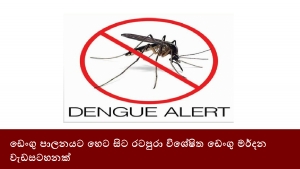 ඩෙංගු පාලනයට හෙට සිට රටපුරා විශේෂිත ඩෙංගු මර්දන වැඩසටහනක්