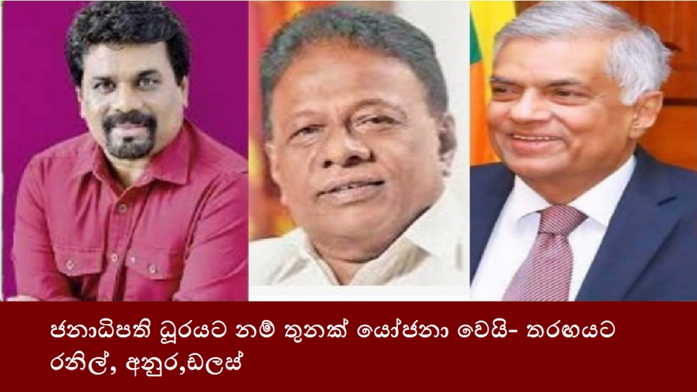 ජනාධිපති ධූරයට නම් තුනක් යෝජනා වෙයි- තරඟයට රනිල්,අනුර,ඩලස්