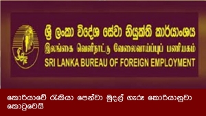 කොරියාවේ රැකියා පෙන්වා මුදල් ගැරූ කොරියානුවා කොටුවෙයි