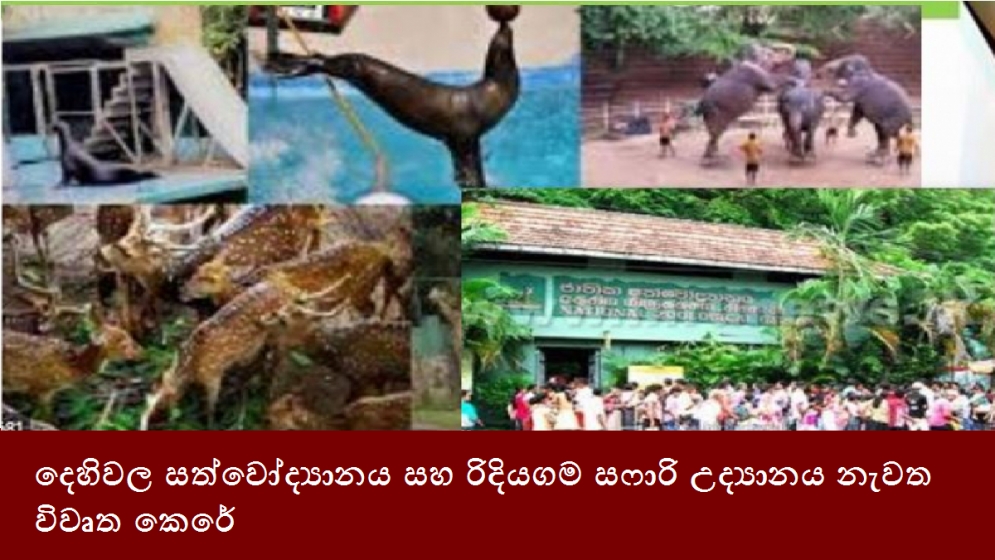 දෙහිවල සත්වෝද්‍යානය සහ රිදියගම සෆාරි උද්‍යානය නැවත විවෘත කෙරේ