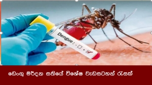 ඩෙංගු මර්දන සතියේ විශේෂ වැඩසටහන් රැසක්