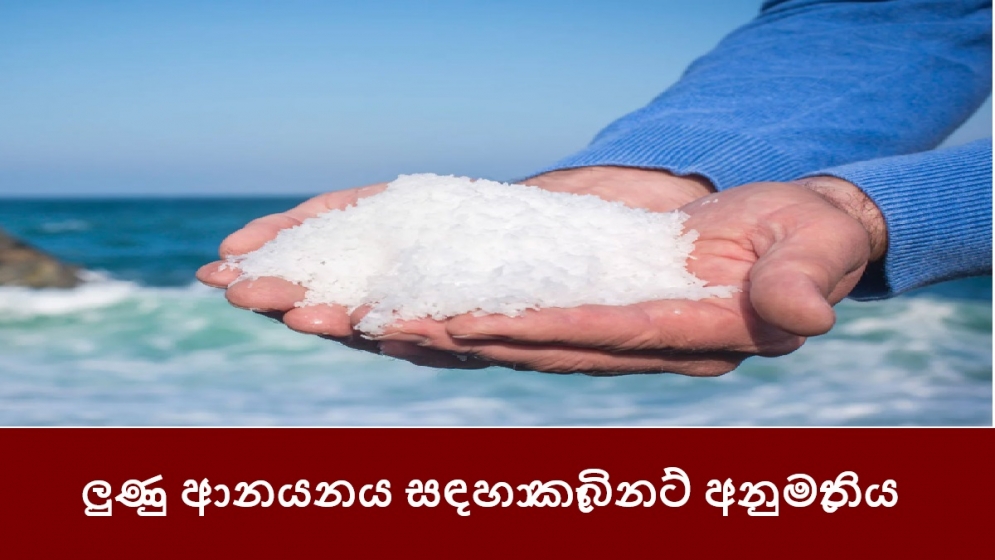 ලුණු ආනයනය සඳහා කැබිනට් අනුමැතිය