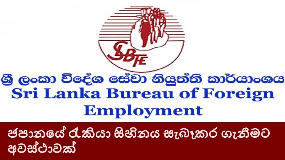 ජපානයේ රැකියා සිහිනය සැබෑකර ගැනීමට අවස්ථාවක්