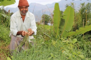 ආණ්ඩුව පීල්ලට ඇවිත්